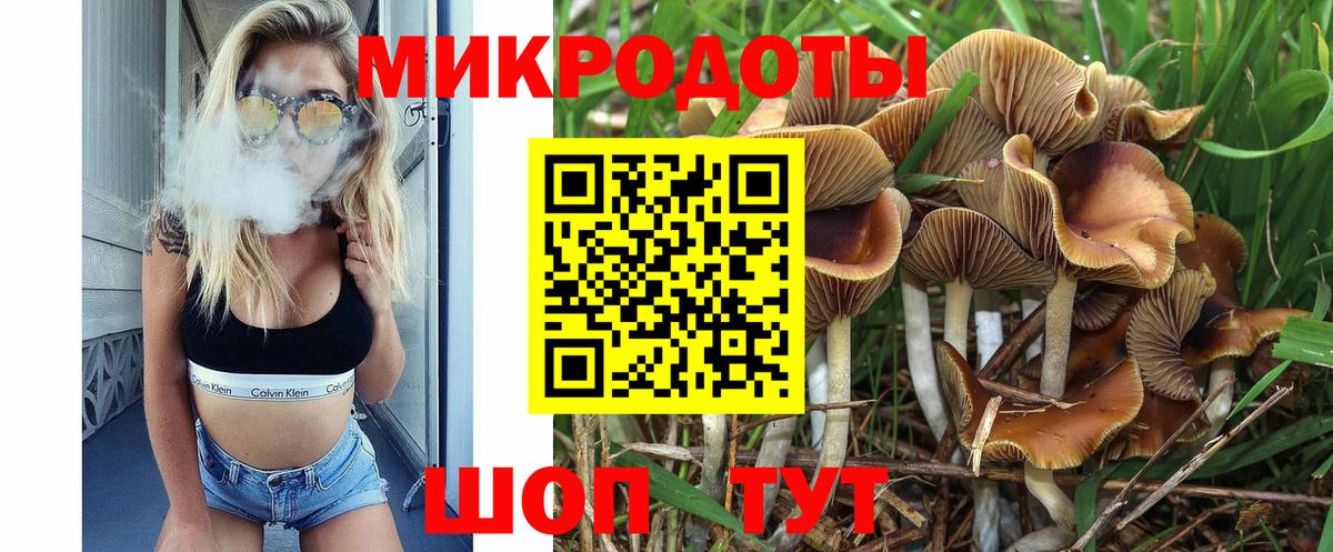 Псилоцибиновые грибы Magic Shrooms  Вход с VPN  Полысаево  дарнет шоп  Псилоцибиновые грибы MAGIC MUSHROOMS 