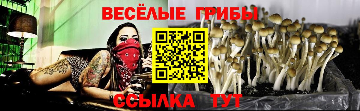 Псилоцибиновые грибы мухоморы Полысаево
